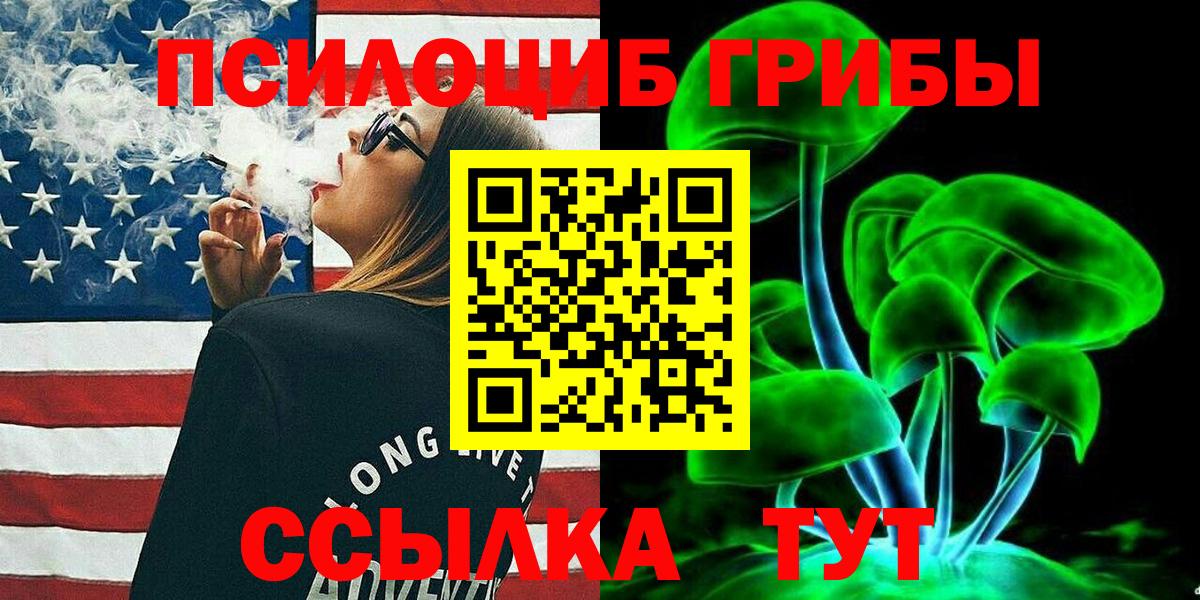 Псилоцибиновые грибы Psilocybine cubensis Горно-Алтайск